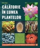 Calatorie in lumea plantelor, Kreativ