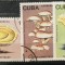 (STR3) Timbre serii Straine Cuba flora Ciuperci