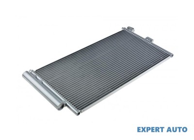 Radiator aer conditionat Fiat Idea (2003-&amp;gt;)[350] #1 foto