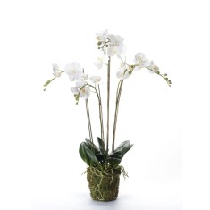 Emerald Orhidee artificială Phalaenopsis cu mușchi, alb, 90 cm 20.355 foto