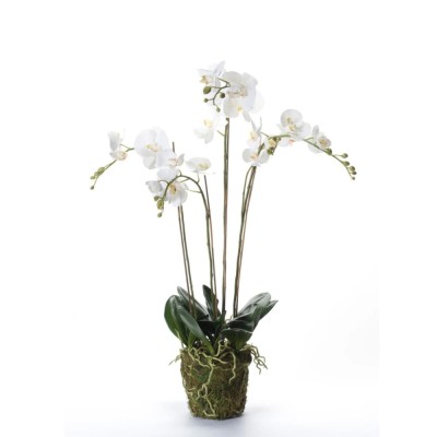 Emerald Orhidee artificială Phalaenopsis cu mușchi, alb, 90 cm 20.355 foto