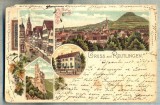 AD 631 C. P. VECHE - GRUSS AUS REUTLINGEN-GERMANIA -CIRC 1902 LA BRAILA-PETRIDES, Circulata, Franta, Printata