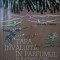TARA INVALUITA IN PARFUMUL RASINILOR-ARKADY FIEDLER-107545