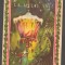 CPIB 20234 CARTE POSTALA - FELICITARE DE ANUL NOU - FELINAR, CEAS ORA 12
