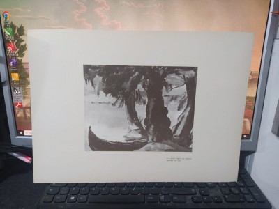 Hrandt Avachian, Planșă Delta, Și-n plinul nopții mă trezesc..., Buc. 1976 224 foto