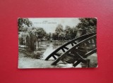 CARTE POSTALA - RPR - PITESTI - VEDERE DIN PARCUL VASILE ROAITA
