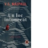 Un loc intunecat - V. S. Naipaul, Ruxandra Campeanu