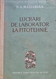 Cumpara ieftin Lucrari de laborator la fitotehnie N. A. Maisurian Editura Agrico-Silvica 1955 Carte Stiinte Exacte Biologie Agricultura Cartonata 376 Pagini