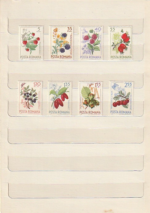 ROMANIA 1964 LP 598 FRUCTE DE PADURE MNH NESTAMPILATA