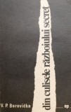 Cumpara ieftin Din culisele razboiului secret - V. P. Borovicka - Carte Istorie, Anticariat
