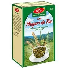Ceai Muguri de Pin 50gr Fares Cod: 5941141000960 foto