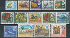Colonii, Rhodesia de Sud, fauna, flora, pasari, 1964, MNH foto