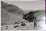 Fotografie, Muntii Bucegi, Valea Dorului, 1966