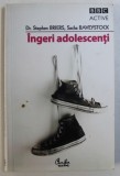 INGERI ADOLESCENTI - CUM SA GASESTI LINISTEA IN ANII FURTUNOSI AI ADOLESCENTEI de STEPHEN BRIERS si SACHA BAVEYSTOCK , 2008
