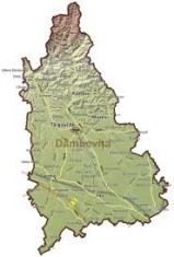 V&Acirc;NZARE TEREN AGRICOL B&acirc;ldana - Comuna Tărtășești - Jud. D&acirc;mbovița