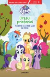 Cumpara ieftin My Little Pony. Orasul prieteniei. Poveste cu litere mari de tipar (Nivelul 1)