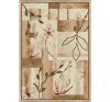 Covor Model Lotos 1510-100, Marime 60 x 110 cm, Bej, Crem, Inaltime Fir 8 mm, Antialergic, Polipropilena, Living, Dormitor, Sufragerie, Birou