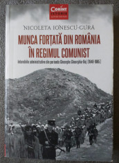 Nicoleta Ionescu-Gura - Munca for?ata din Romania in regimul comunist foto