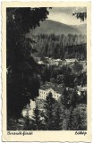 CP1434N Borsz&eacute;k-f&uuml;rdő, L&aacute;tk&eacute;p, carte poștală, Borsec