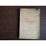 Varsta Periculoasa, Karin Michalis