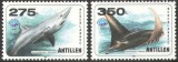 Antilele Olandeze MNH 1998 - fauna marina