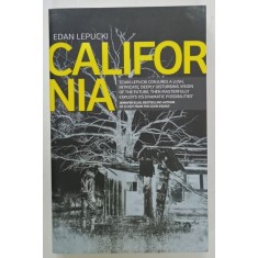 CALIFORNIA by EDAN LEPUCKI , 2015, PREZINTA URME DE UZURA