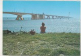 Bnk cp Poduri - Olanda - Podul Zeeland - necirculata, Printata