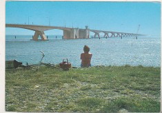 bnk cp Poduri - Olanda - Podul Zeeland - necirculata