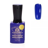 Cumpara ieftin Oja semipermanenta Premium 15 ml, 121