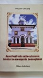 Buna Vestire in mijlocul satului. Franturi de monografie domnesteana - Bogdan Grigore