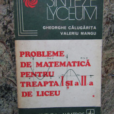 Probleme de matematica pentru treapta I si a-II-a de liceu, Volumul I