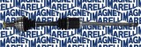 MAGNETI MARELLI 302004190020 Planetara