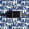 MAGNETI MARELLI 302004190020 Planetara