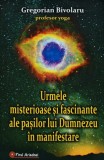 Cumpara ieftin Urmele misterioase si fascinante ale pasilor lui Dumnezeu in manifestare - 2009 - Gregorian Bivolaru (@C297)