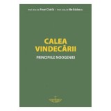 Calea vindecarii. Principiile noogeniei - prof. univ. dr. Pavel Chirila, prof. dr. Ilie Badescu