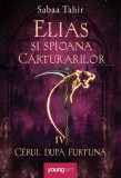 Elias şi spioana Cărturarilor IV. Cerul după furtună - Sabaa Tahir