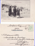 Constanta, Dobrogea- Tipuri, cadane-clasica, rara