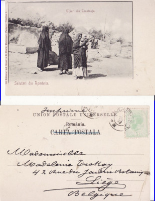 Constanta, Dobrogea- Tipuri, cadane-clasica, rara foto