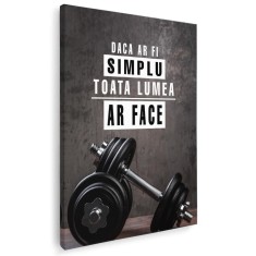 Tablou mesaj motivational daca ar fi simplu 1488 Tablou canvas pe panza CU RAMA 20x30 cm