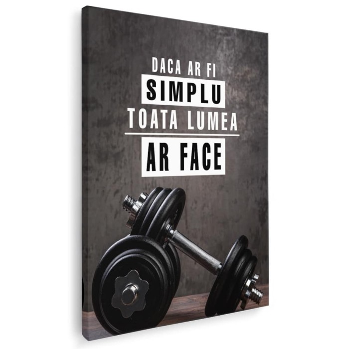 Tablou mesaj motivational daca ar fi simplu 1488 Tablou canvas pe panza CU RAMA 50x70 cm