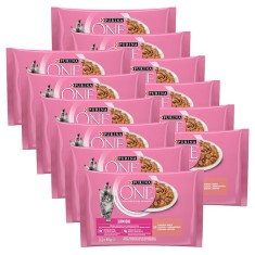 PURINA ONE JUNIOR multipack 48 x 85 g foto