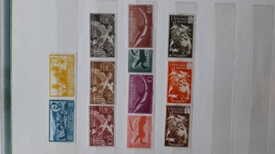 1950-1959-Guinea Spaniola 10set-MNH foto