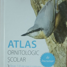 Atlas Ornitologic Scolar. Peste 130 de specii comune din România