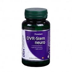 DVR Stem Neuro 60cps DVR Pharma