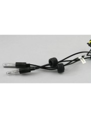 Bec pentru Lupa Bixenon 6000k foto