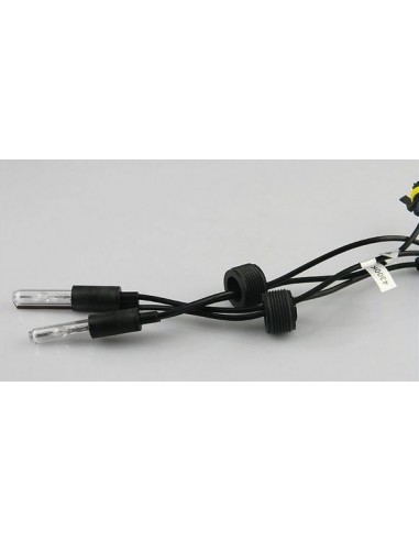 Bec pentru Lupa Bixenon 6000k