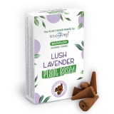 Cumpara ieftin Conuri Parfumate pe Baza de Plante - Lavanda