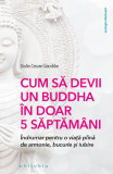 Cum să devii un Buddha &icirc;n doar 5 săptăm&acirc;ni - Paperback brosat - Giulio Cesare Giacobbe - Philobia