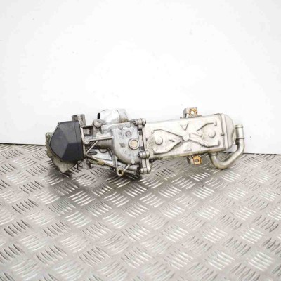 Răcitor EGR VW TIGUAN 5N_ 2012 OEM: 028075101603L131512CH foto