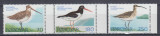 FEROE 1977 FAUNA PASARI SERIE MNH, Finlanda, Nestampilat